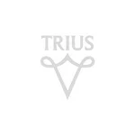 логотип компанииТриус .png