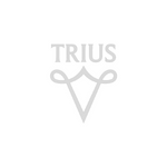 логотип компанииТриус .png